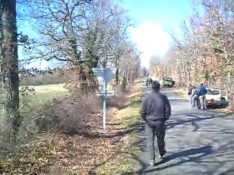 concours saint chels 2010 les 7 chiens