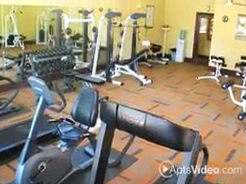 Austin City Lights Apartments in Austin, TX - ForRent.com