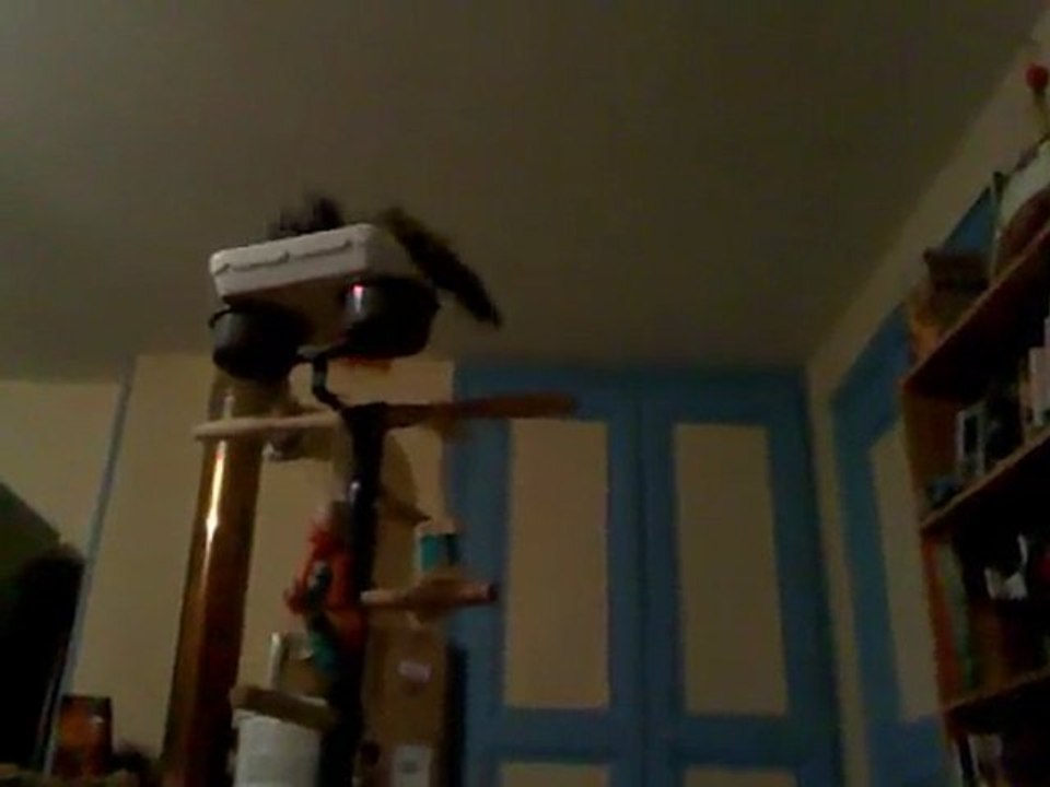 Descartes prend son bain