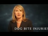 Dog Bite Injuries Explained by a Personal Injury Lawyer
