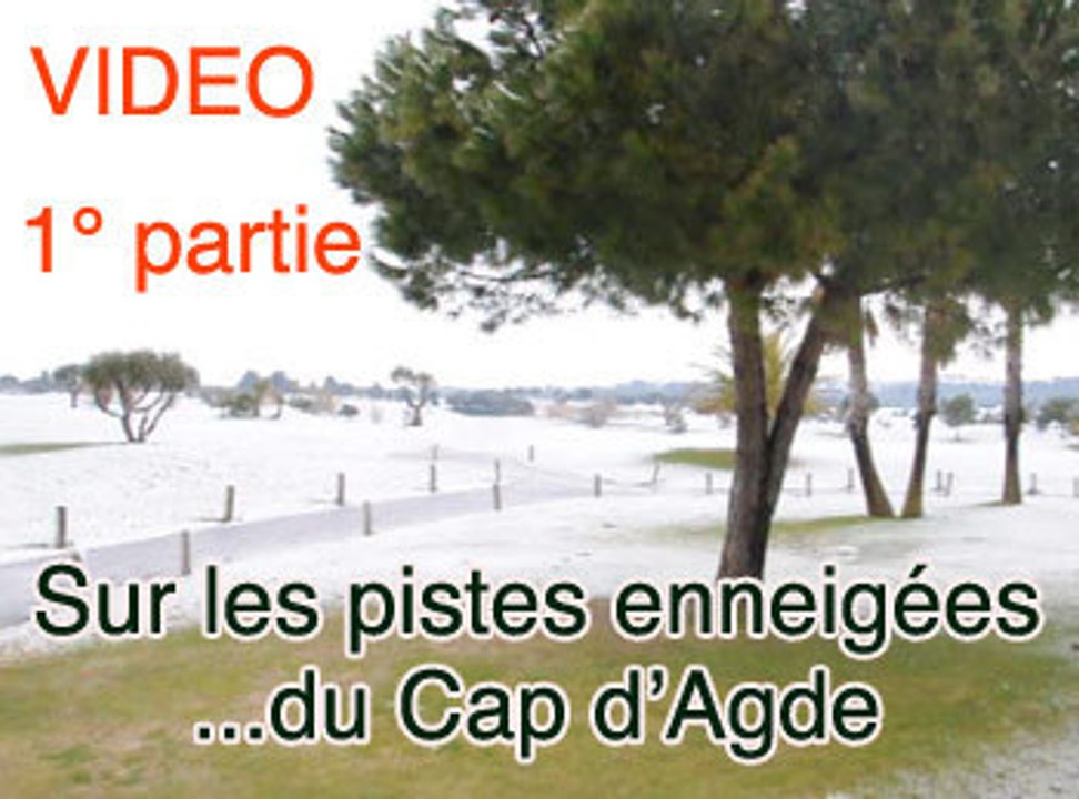 CAP D'AGDE - 2010 - SOUS LA NEIGE !  Sur les pistes enneigées du Cap d'Agde ( Herault)