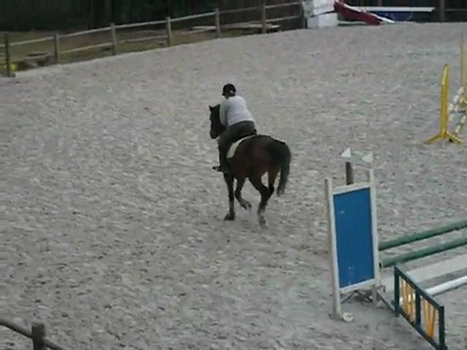 Cecile et Majesty Concours entrainement Gavray 21 02 2010