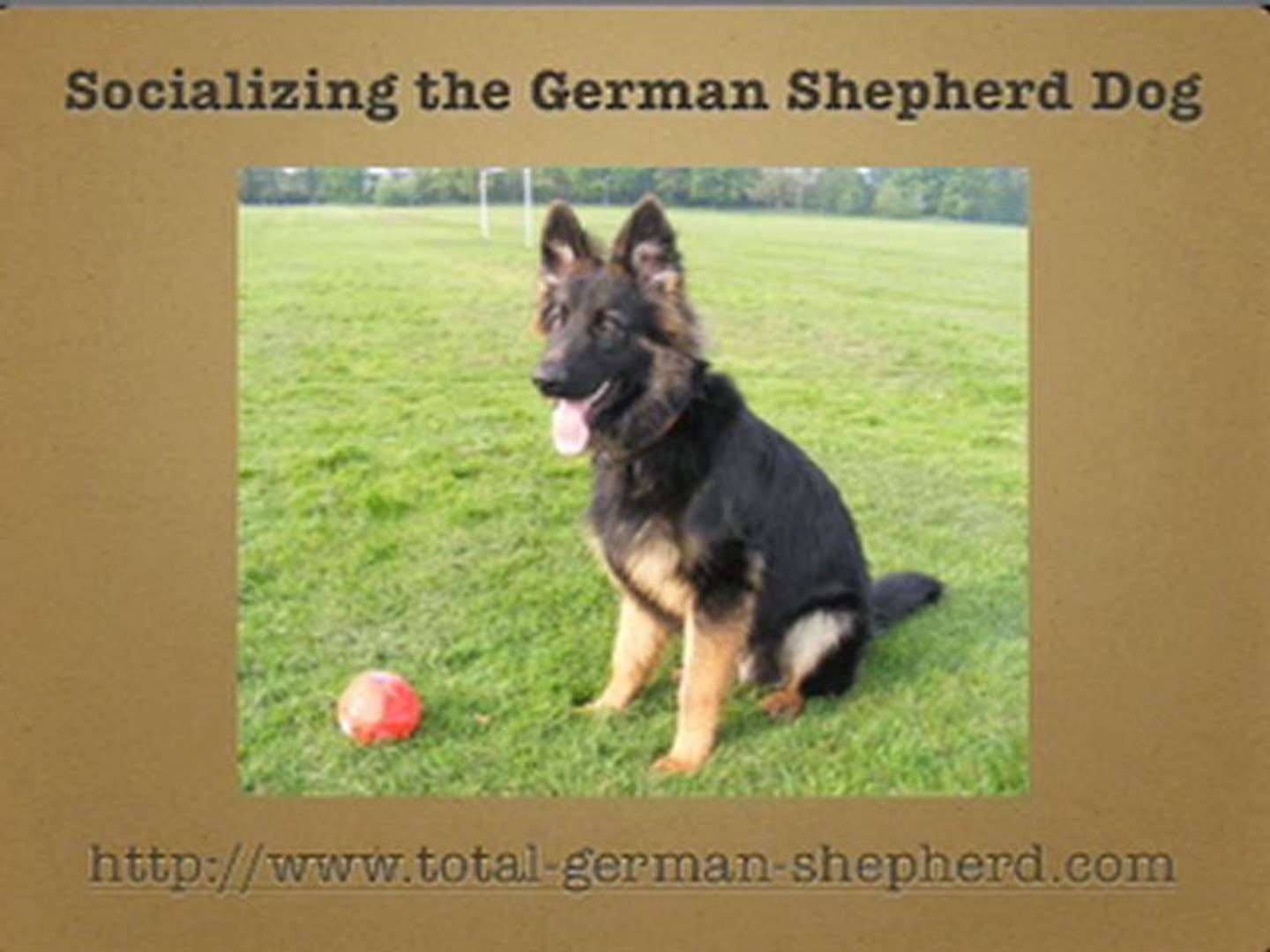 total german shepherd