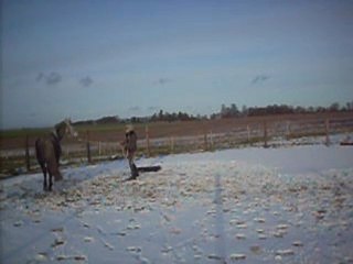 défi VIII pasge de la bache au trot et pas