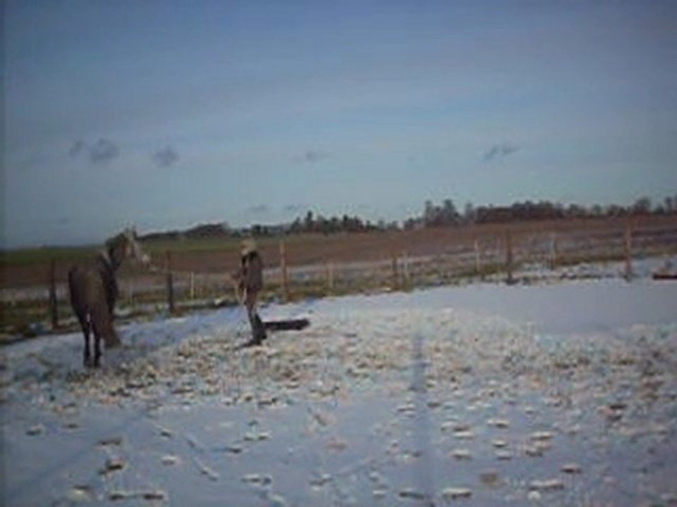 défi VIII pasge de la bache au trot et pas