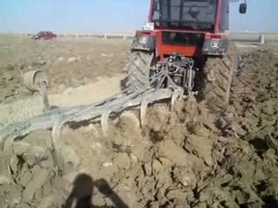 KONYA İÇERİCUMRA KAS. PANCAR İKİLEMESİ