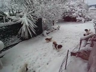 Il neige à Carcassonne