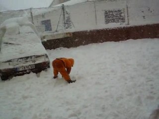NEIGE A PERPIGNAN . BAMBO
