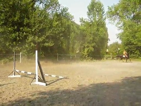 MANDOLINE DEBUT TRAVAIL A L'OBSTACLE 2009