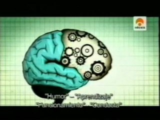 Adolescencia: Privacion de sueño y melatonina