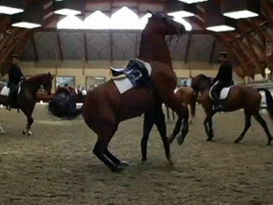 Cadre Noir - Ecole nationale d'équitation