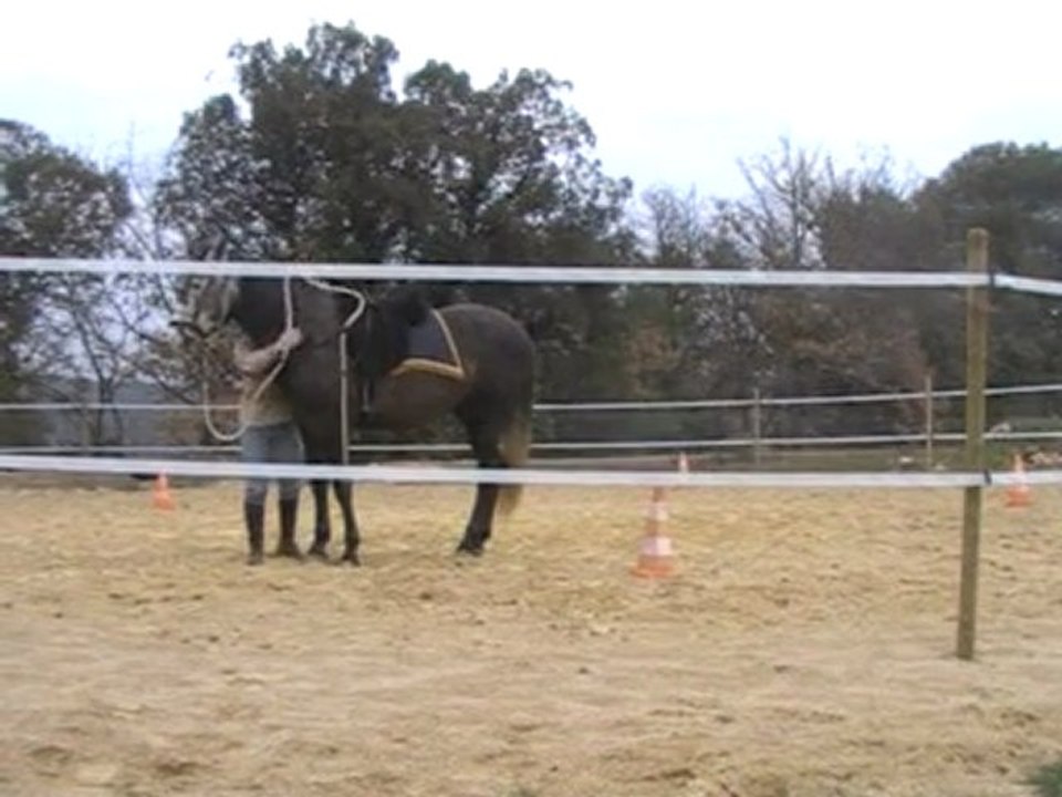 Galatéo séance 09 03 2010.