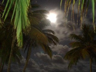 That Florida Lowdown-Francis Craig Orchestra