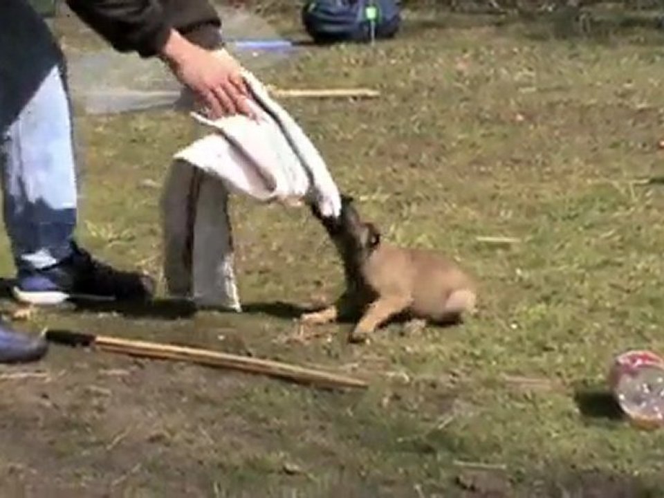 Epsie des Gardiens de Lous Kas 9 mars 2010