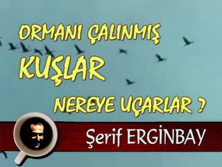 Ormanı Çalınmış Kuşlar, Şerif Erginbay, Müzik: Vangelis