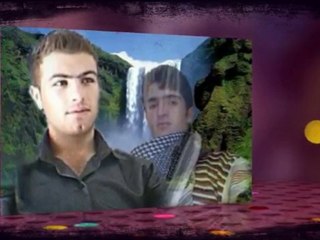 ertan aydemir - video