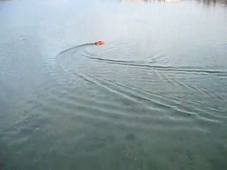 Robbe Prinzess RC Outboard Boat with Roqua Outboard