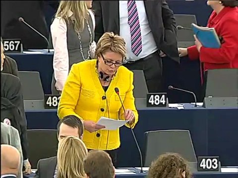 Siiri Oviir on Explanations of vote