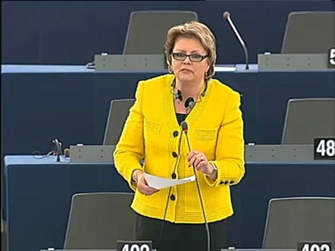 Siiri Oviir on Explanations of vote (II)