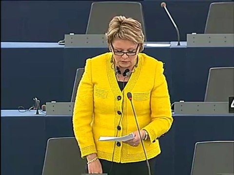 Siiri Oviir on Explanations of vote (III)