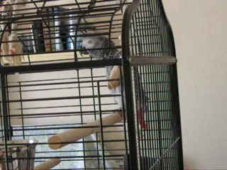 paulie le 09.03.10  01