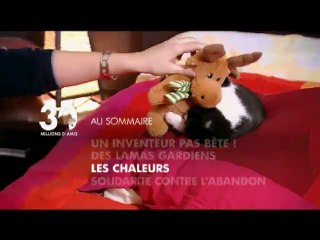 Sommaire émission 30 Millions d'Amis du 14 03 10