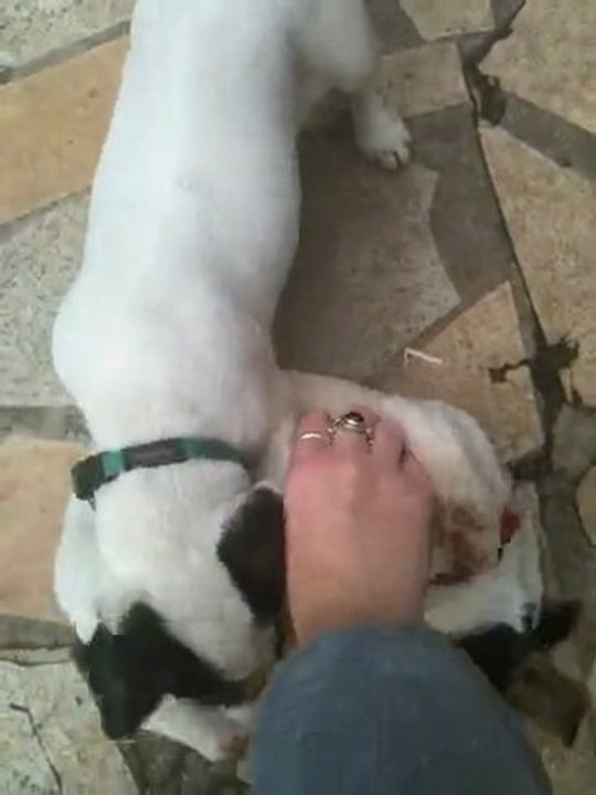 Hugo VS Arthur ;o))Combat entre 2  frère !!!