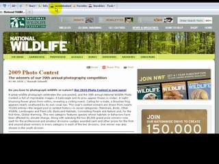 Discover StumbleUpon: What It Is & How to Use It 🚀