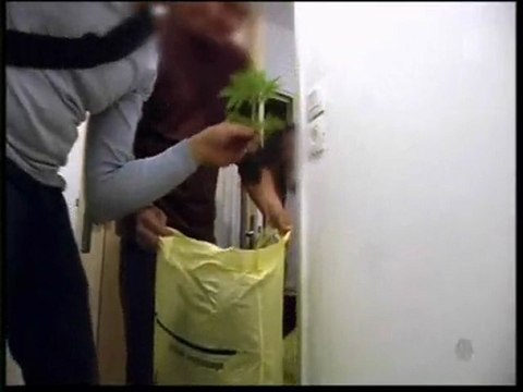 lyon : Brigade des stupéfiants 2.3
