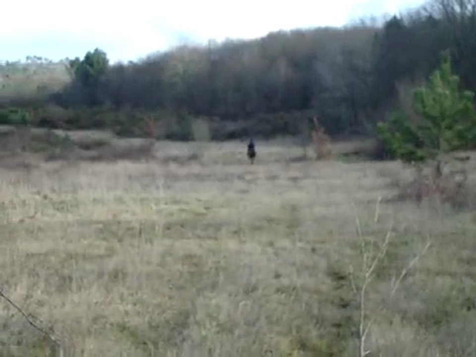 moi au triple galop avec Ermi dans les champs