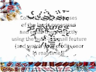 Email Online Leads, Craigslist, Backpage, Kijiji