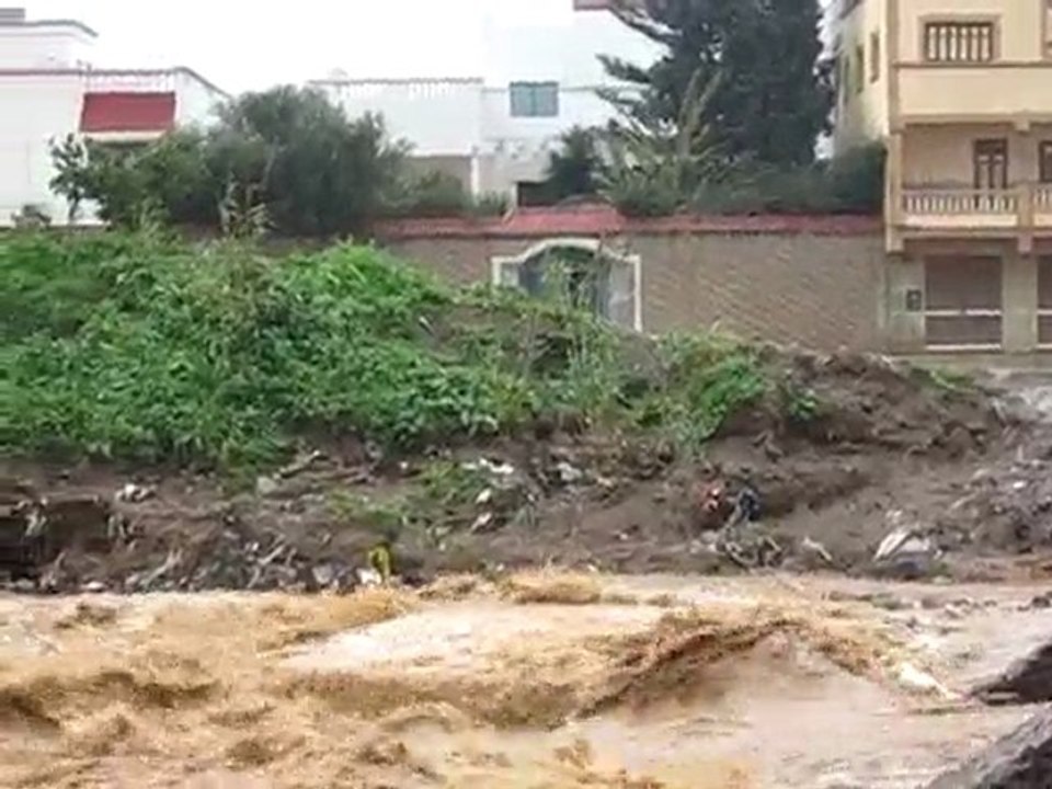 arridreportage