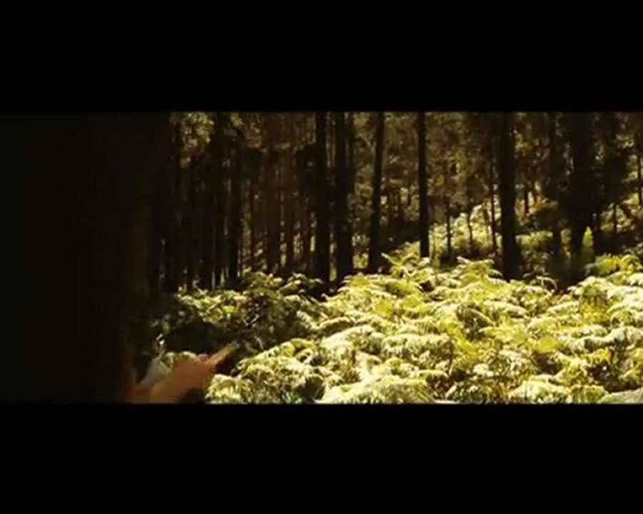 Roman Polanski : Everybody Love Cinema