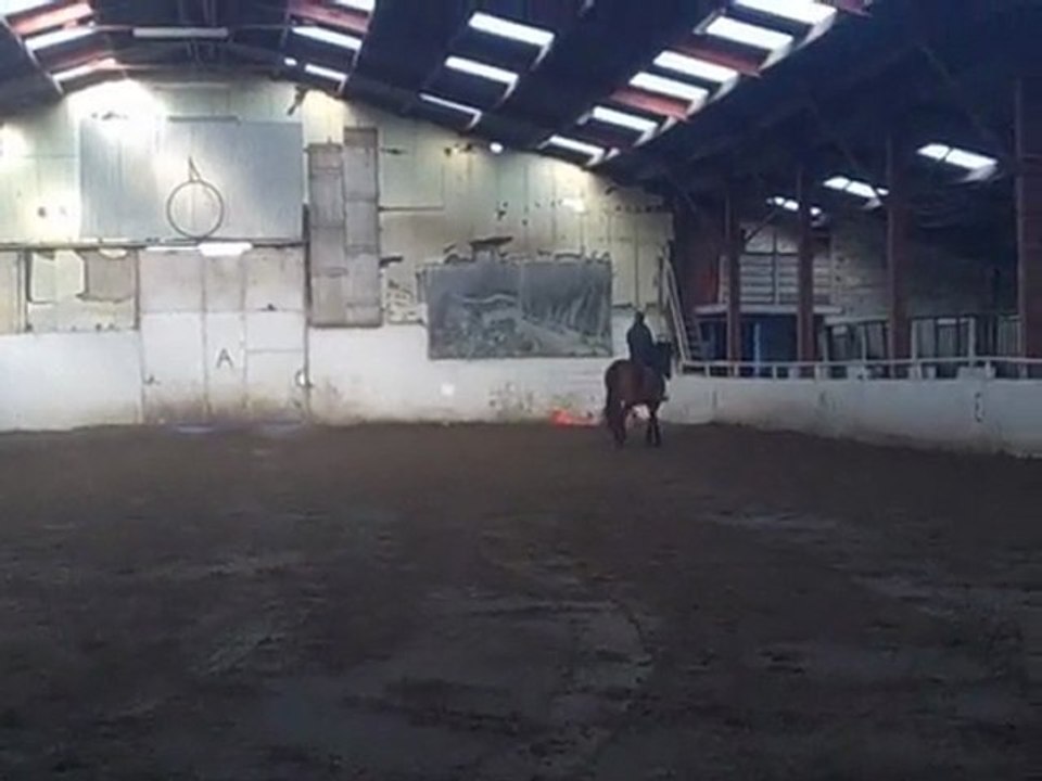 sandy la propriétaire du manège  éduque mon balou