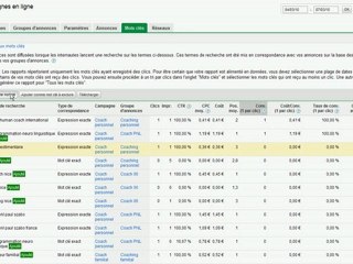 Google-AdWords-Mots-clés-réellement-saisis