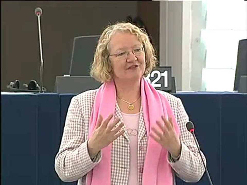 Gesine Meissner on railway package Directives