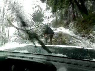 La Corse sous la neige