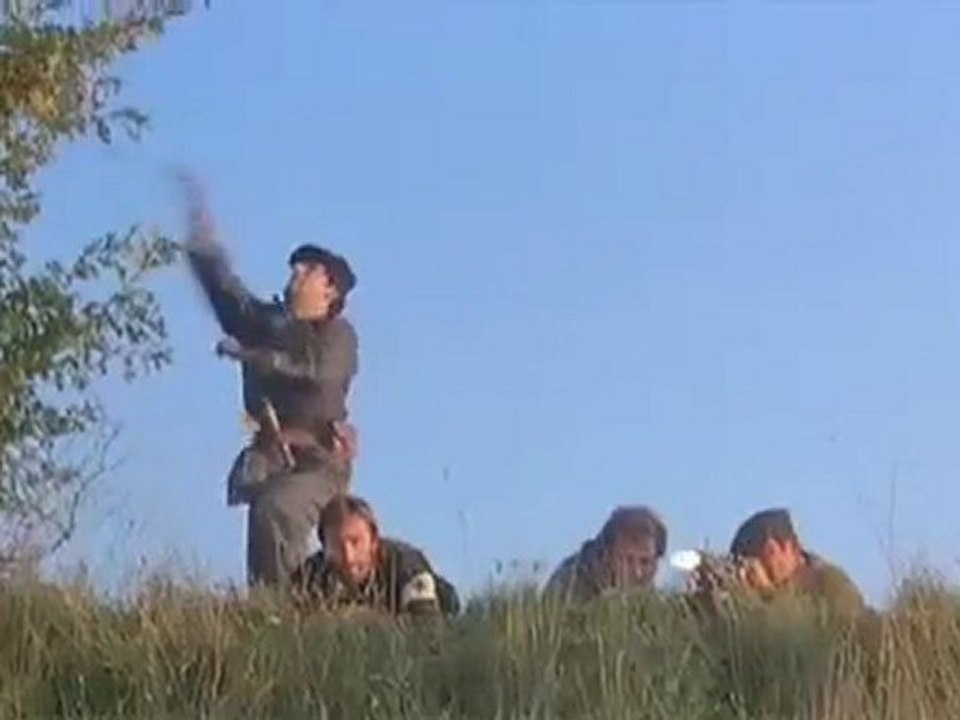 Ein Haufen verwegener Hunde