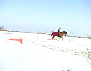 Travail sur le plat et dans la neige de Noisette