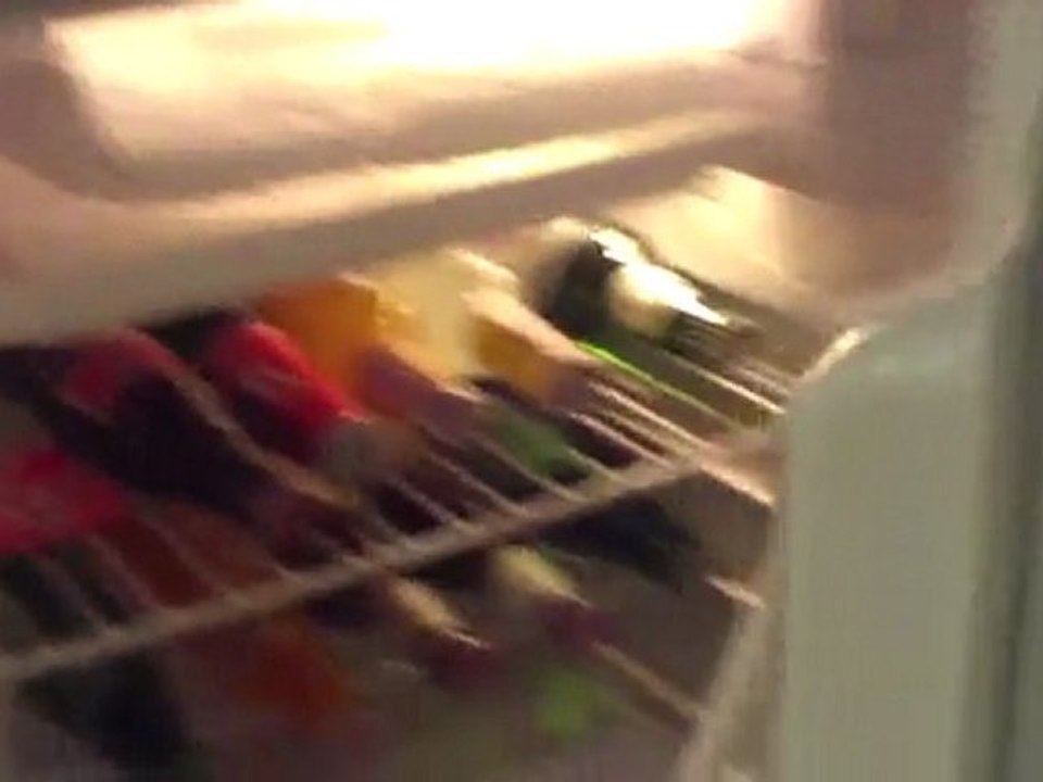 kikou visite le parrots hotel à pattaya
