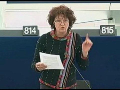 Hélène Flautre : 2ème sommet européen sur les Roms