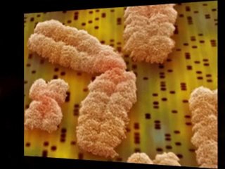 DNA Testing for Genealogy