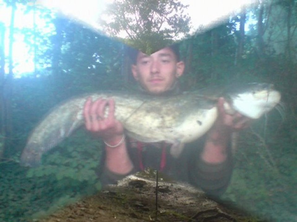 nos carpes 2009