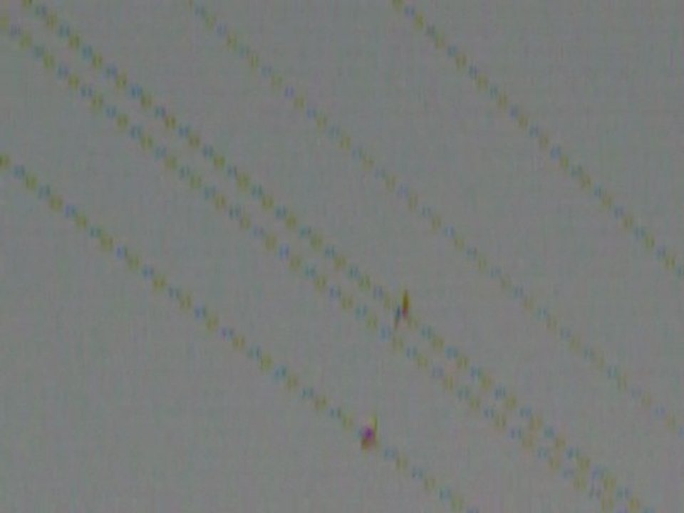 saka ötüşü gerçek saka ötüşü goldfinch