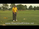 watch the World Golf CA Championships 2010 golf live streami
