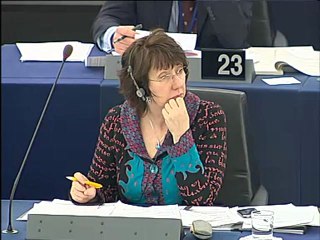 Norica Nicolai on 2008 annual report on the CFSP