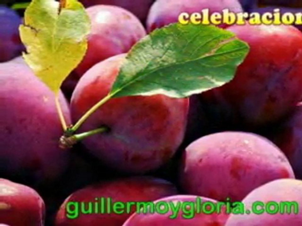 Reuniones de trabajo, eventos para empresas, celebraciones