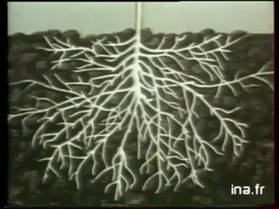 1979_ROUND_UP_Desherbant_agricole