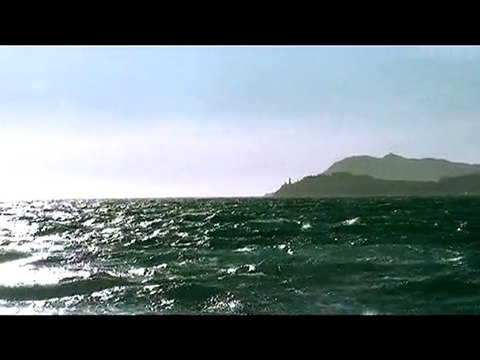 Le Pradet et ses mouettes rieuses