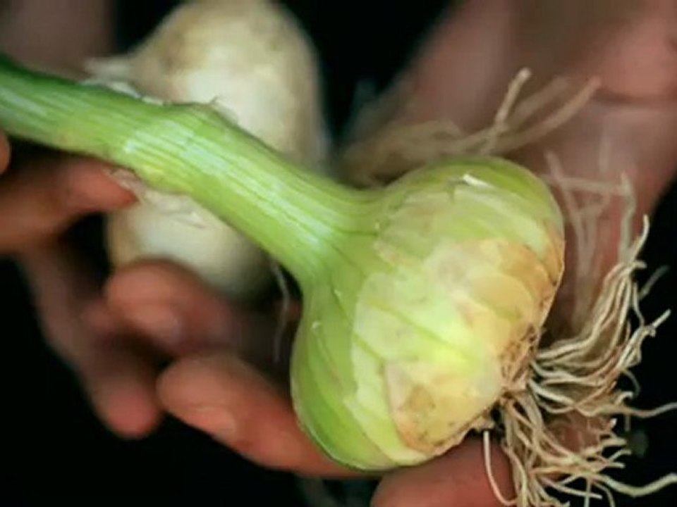 Avec Bienvenue à la Ferme, vivez la campagne de plus près